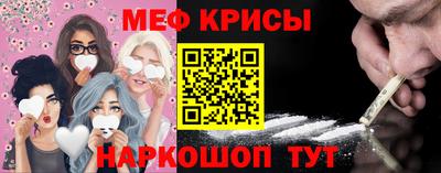 крисы Славгород