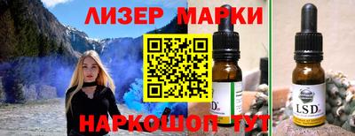 крисы Славгород