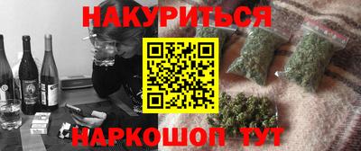 крисы Славгород