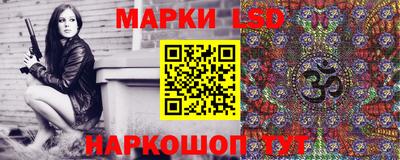 крисы Славгород