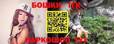 крисы Славгород