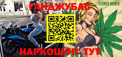 крисы Славгород
