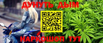 крисы Славгород
