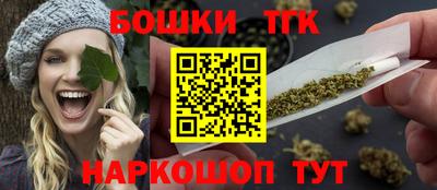 крисы Славгород