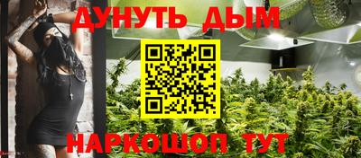 крисы Славгород
