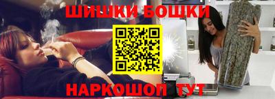 крисы Славгород