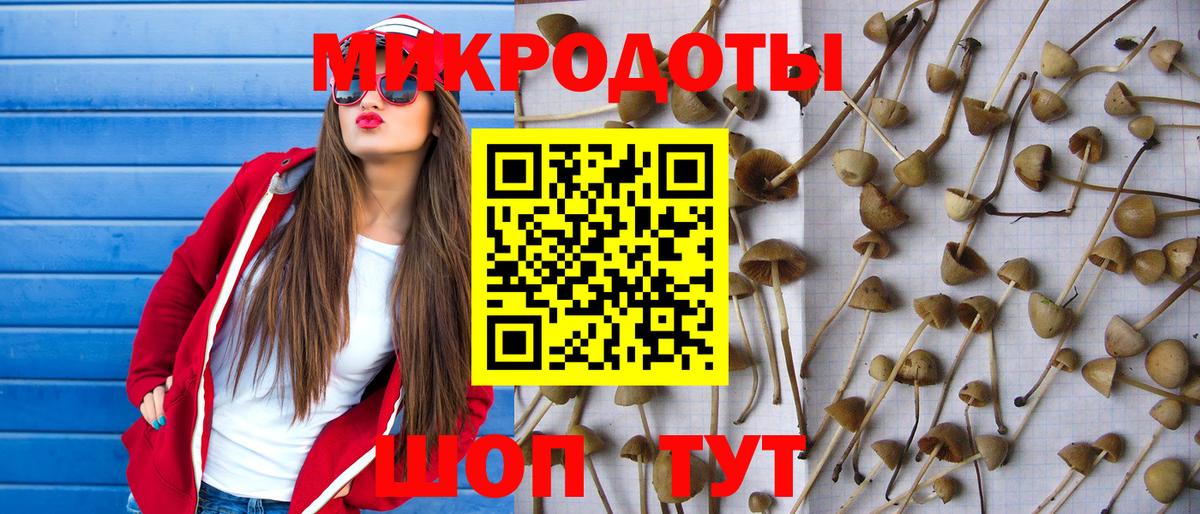Псилоцибиновые грибы прущие грибы  Галлюциногенные грибы ЛСД  Острогожск  закладки  Вход с VPN 